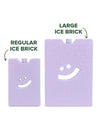 Lilac Large Ice Brick Water Bottle The Somewhere Co 