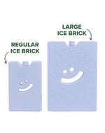 Sky Blue Large Ice Brick Water Bottle The Somewhere Co 