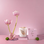 Agapi' | Candle of Love | Creamy Gelato & Caramel Frost Crystal Infused Candles Three Suns 