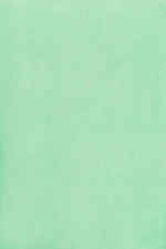 Elixir Shirt ONE SIZE - Kiwi Top Eb & Ive 